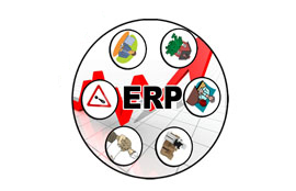 ERP_Thumb